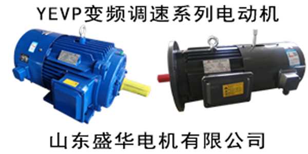 山東變頻電機廠家-變頻調速電機