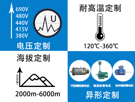 山東電機廠-變頻防爆電機